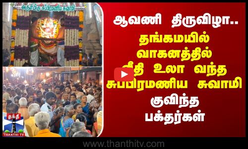 ஆவணி திருவிழா..தங்கமயில் வாகனத்தில் வீதி உலா வந்த சுப்பிரமணிய சுவாமி-குவிந்த பக்தர்கள்