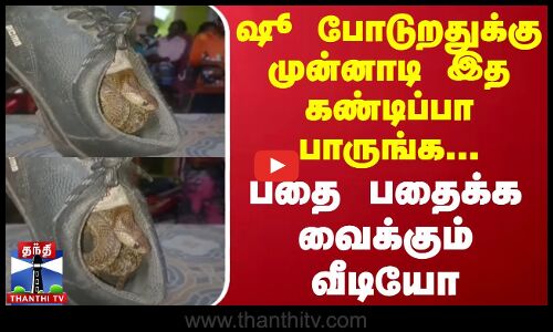 ஷூ போடுறதுக்கு முன்னாடி இத கண்டிப்பா பாருங்க... பதை பதைக்க வைக்கும் வீடியோ