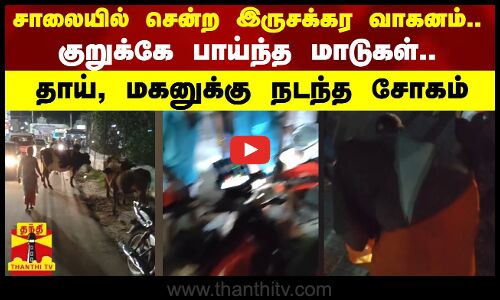 சாலையில் சென்ற இருசக்கர வாகனம்.. குறுக்கே பாய்ந்த மாடுகள்.. தாய், மகனுக்கு நடந்த சோகம்..