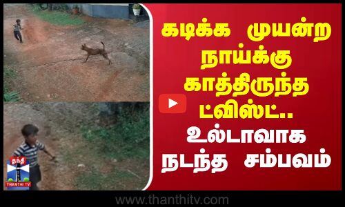 Dog Attack || கடிக்க முயன்ற நாய்க்கு காத்திருந்த ட்விஸ்ட்.. உல்டாவாக நடந்த சம்பவம்