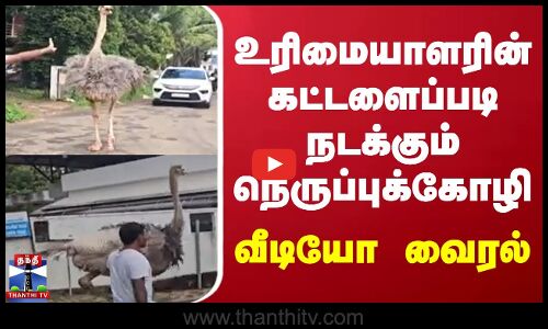 உரிமையாளரின் கட்டளைப்படி நடக்கும் நெருப்புக்கோழி - வீடியோ வைரல்