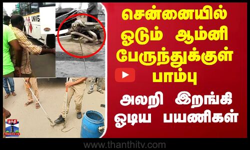 சென்னையில் ஓடும் ஆம்னி பேருந்துக்குள் பாம்பு - அலறி இறங்கி ஓடிய பயணிகள்