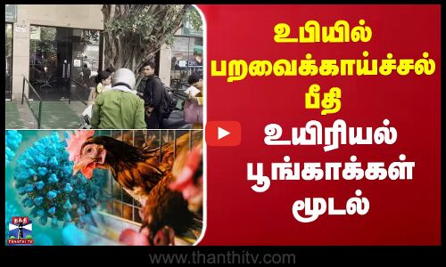 உ.பி.யில் பறவைக்காய்ச்சல் பீதி - உயிரியல் பூங்காக்கள் மூடல்