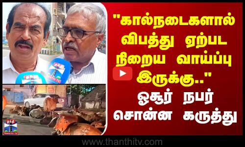 Street Interview | கால்நடைகளால் விபத்து ஏற்பட நிறைய வாய்ப்பு இருக்கு.. - ஓசூர் நபர் சொன்ன கருத்து