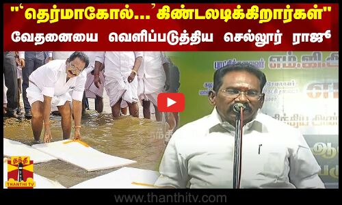 `தெர்மாகோல்..கிண்டலடிக்கிறார்கள் - வேதனையை வெளிப்படுத்திய முன்னாள் அமைச்சர் செல்லூர் ராஜூ