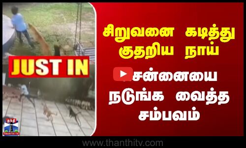 JUSTIN | Chennai | Street Dog | சிறுவனை கடித்து குதறிய நாய் | சென்னையை நடுங்க வைத்த சம்பவம்