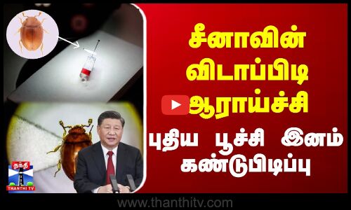 சீனாவின் விடாப்பிடி ஆராய்ச்சி... புதிய பூச்சி இனம் கண்டுபிடிப்பு | China | Xi Jinping