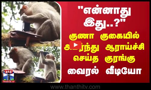 என்னாது இது..? - குணா குகையில் அமர்ந்து ஆராய்ச்சி செய்த குரங்கு - வைரல் வீடியோ