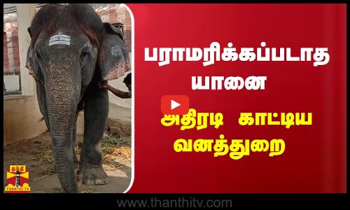 பராமரிக்கப்படாத யானை   அதிரடி காட்டிய வனத்துறை