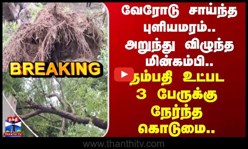 Cuddalore |  வேரோடு சாய்ந்த புளியமரம்.. அறுந்து விழுந்த மின்கம்பி.. 3 பேருக்கு நேர்ந்த கொடுமை