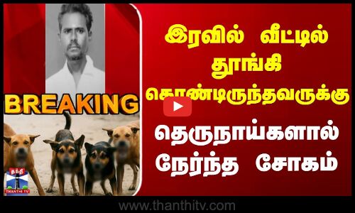 BREAKING | Stray Dogs | இரவில் வீட்டில் தூங்கி கொண்டிருந்தவருக்கு தெருநாய்களால் நேர்ந்த சோகம்