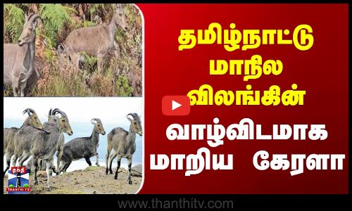 தமிழ்நாட்டு மாநில விலங்கின் வாழ்விடமாக மாறிய கேரளா