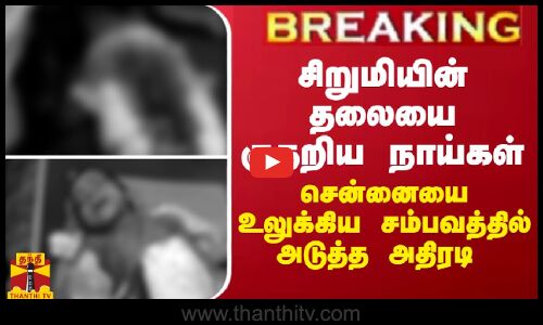 BREAKING || சிறுமியின் தலையை குதறிய நாய்... சென்னையை உலுக்கிய சம்பவத்தில் அடுத்த அதிரடி