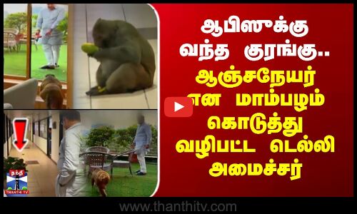 ஆபிஸுக்கு வந்த குரங்கு.. ஆஞ்சநேயர் என மாம்பழம் கொடுத்து வழிபட்ட டெல்லி அமைச்சர்
