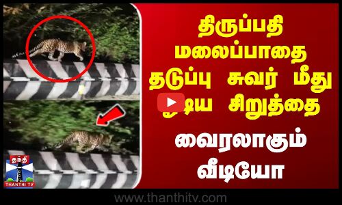 திருப்பதி மலைப்பாதை தடுப்பு சுவர் மீது ஓடிய சிறுத்தை | வைரலாகும் வீடியோ