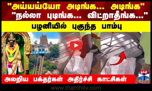 அய்யய்யோ அடிங்க...அடிங்க நல்லா புடிங்க...விட்றாதீங்க...பழனியில் புகுந்த பாம்பு...