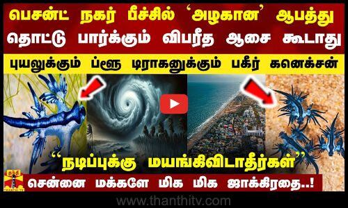 பெசன்ட் நகர் பீச்சில் `அழகான ஆபத்து.. புயலுக்கும் ப்ளூ டிராகனுக்கும் கனெக்சன்.. விபரீத ஆசை வேண்டாம்