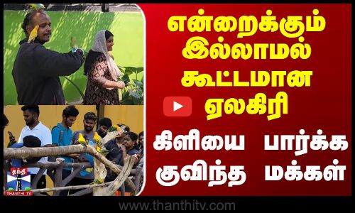 என்றைக்கும் இல்லாமல் கூட்டமான ஏலகிரி - கிளியை பார்க்க குவிந்த மக்கள்