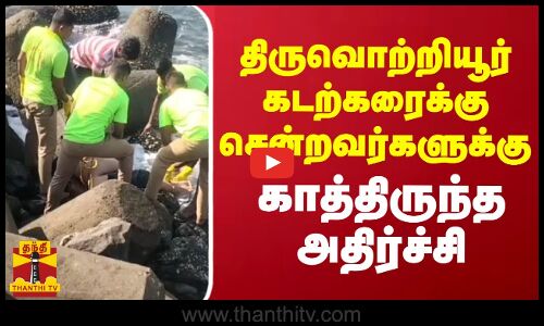 திருவொற்றியூர் கடற்கரைக்கு சென்றவர்களுக்கு காத்திருந்த அதிர்ச்சி