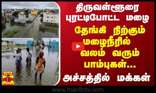 திருவள்ளூரை புரட்டிபோட்ட மழை..தேங்கி நிற்கும் மழைநீரில் வலம் வரும் பாம்புகள்.... அச்சத்தில் மக்கள்