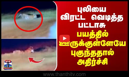 Kerala | Tiger | புலியை விரட்ட வெடித்த பட்டாசு - பயத்தில் ஊருக்குள்ளேயே புகுந்ததால் அதிர்ச்சி