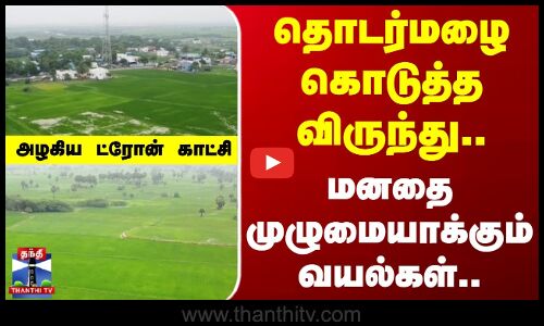 தொடர்மழை கொடுத்த விருந்து.. மனதை முழுமையாக்கும் வயல்கள்..