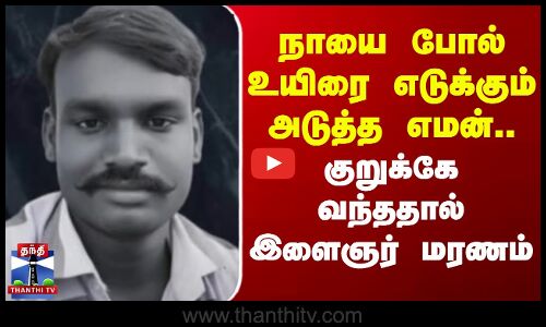 Sivaganga | நாயை போல் உயிரை எடுக்கும் அடுத்த எமன்.. குறுக்கே வந்ததால் இளைஞர் மரணம்
