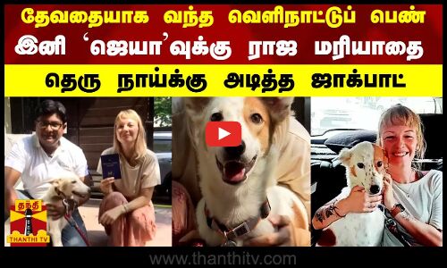 தேவதையாக வந்த வெளிநாட்டுப் பெண்.. இனி ஜெயாவுக்கு ராஜ மரியாதை - தெரு நாய்க்கு அடித்த ஜாக்பாட்