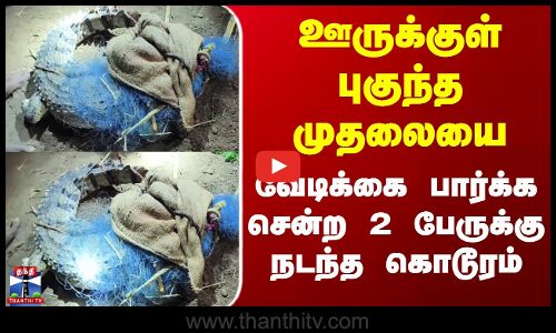 Cuddalore Crocodile | ஊருக்குள் புகுந்த முதலையை வேடிக்கை பார்க்க சென்ற 2 பேருக்கு நடந்த கொடூரம்