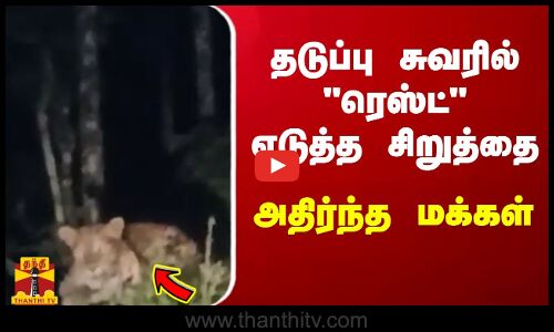 தடுப்புச் சுவரில் ரெஸ்ட் எடுத்த சிறுத்தை - அதிர்ந்த மக்கள்