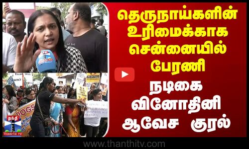 தெருநாய்களின் உரிமைக்காக சென்னையில் பேரணி - நடிகை வினோதினி ஆவேச குரல்