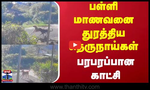 Dog Chasing | பள்ளி மாணவனை துரத்திய தெருநாய்கள் - பரபரப்பான சிசிடிவி காட்சி