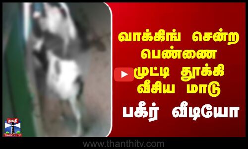 வாக்கிங் சென்ற பெண்ணை முட்டி தூக்கி வீசிய மாடு - பகீர் வீடியோ