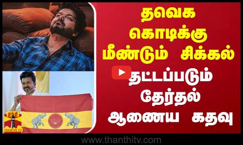 தவெக கொடிக்கு மீண்டும் சிக்கல்.. தட்டப்படும் தேர்தல் ஆணைய கதவு | TVK Vijay