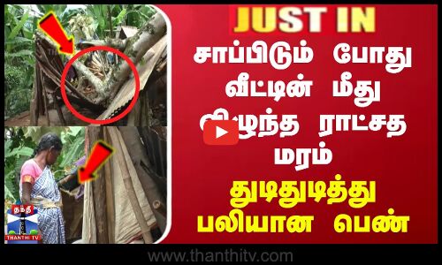 சாப்பிடும் போது வீட்டின் மீது விழுந்த ராட்சத மரம் - துடிதுடித்து பலியான பெண்