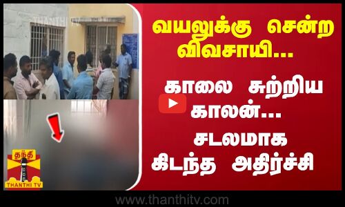 வயலுக்கு சென்ற விவசாயி... காலை சுற்றிய காலன்... சடலமாக கிடந்த அதிர்ச்சி