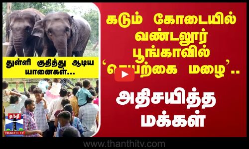 Vandalur Rainfall  | கடும் கோடையில் வண்டலூர் பூங்காவில் `செயற்கை மழை’.. அதிசயித்த மக்கள்