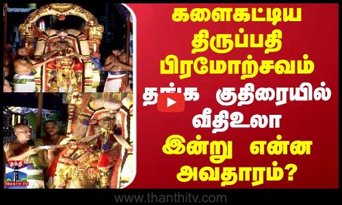 Tirupathi Brahmotsavam | களைகட்டிய திருப்பதி பிரமோற்சவம் | தங்க குதிரையில் வீதிஉலா | இன்றைய அவதாரம்?