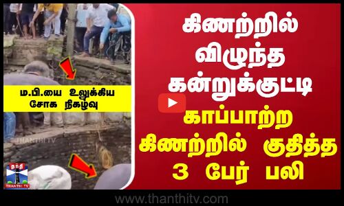 கிணற்றில் விழுந்த கன்றுக்குட்டி | காப்பாற்ற கிணற்றில் குதித்த 3 பேர் பலி