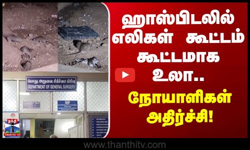Salem Hospital | Rats |  ஹாஸ்பிடலில் எலிகள் கூட்டம் கூட்டமாக உலா.. நோயாளிகள் அதிர்ச்சி