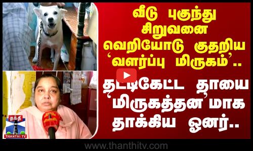 Chennai Dog Issue | சிறுவனை கடித்த வளர்ப்பு - தட்டிகேட்ட தாய் மீது தாக்குதல்