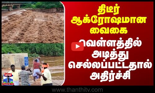 Vaigai Flood | Theni Rains | திடீர் ஆக்ரோஷமான வைகை - வெள்ளத்தில் அடித்து செல்லப்பட்டதால் அதிர்ச்சி