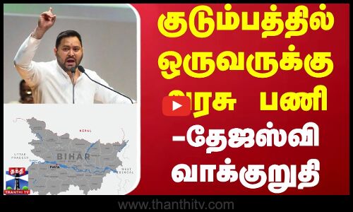Thejaswi Yadav Announcement Bihar Election | குடும்பத்தில் ஒருவருக்கு அரசு பணி - தேஜஸ்வி வாக்குறுதி