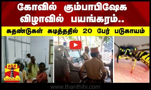 கோவில் கும்பாபிஷேக விழாவில் பயங்கரம்.. கதண்டுகள் கடித்ததில் 20 பேர் படுகாயம்