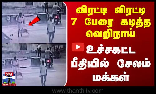விரட்டி விரட்டி 7 பேரை கடித்த வெறிநாய் - உச்சகட்ட பீதியில் சேலம் மக்கள்