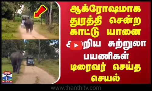 ஆக்ரோஷமாக துரத்தி சென்ற காட்டு யானை | அலறிய சுற்றுலா பயணிகள் | டிரைவர் செய்த செயல்