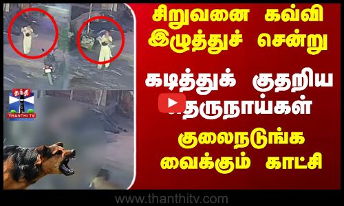 சிறுவனை கவ்வி இழுத்துச் சென்று... கடித்துக் குதறிய தெருநாய்கள்...