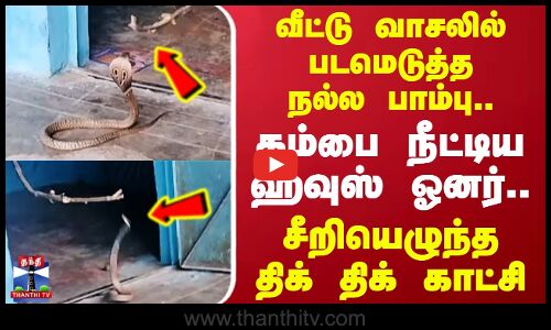 வீட்டு வாசலில் படமெடுத்த நல்ல பாம்பு.. கம்பை நீட்டிய ஹவுஸ் ஓனர்.. சீறியெழுந்த திக் திக் காட்சி