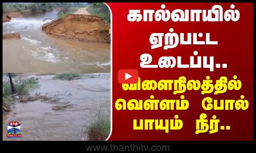 Tirunelveli | கால்வாயில் ஏற்பட்ட உடைப்பு.. விளைநிலத்தில் வெள்ளம் போல் பாயும் நீர்..