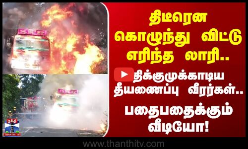 Nilgiris | தீடீரென கொழுந்து விட்டு எரிந்த லாரி.. திக்குமுக்காடிய தீயணைப்பு வீரர்கள்